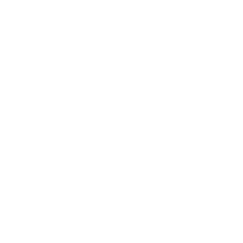 لوگوی BYD